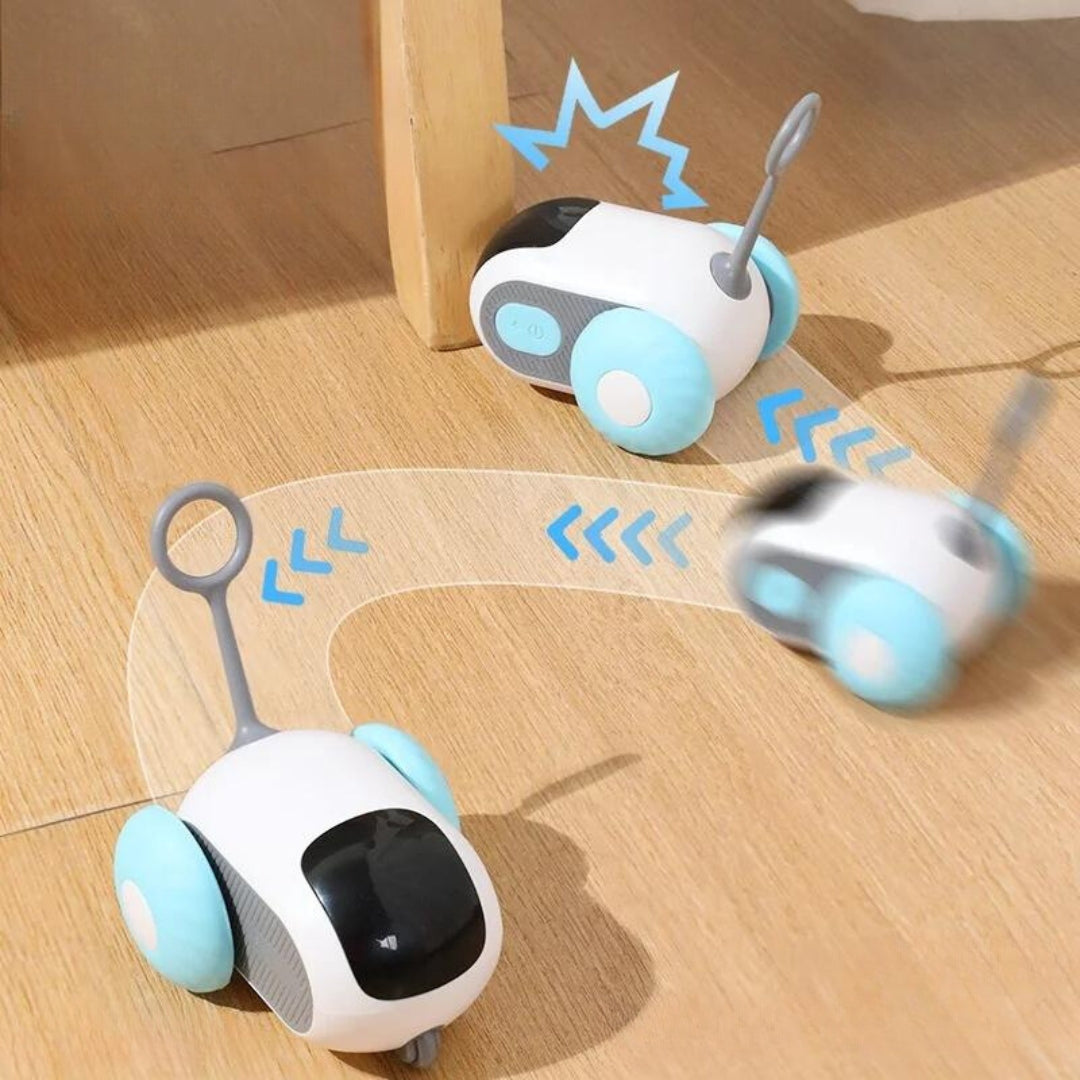 Macchina Telecomandata per Gatti